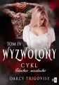 Wyzwolony. Idealnie nieidealni. Tom 4 - tantis.pl