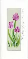 Karnet DL. Urodziny. Tulipany - tantis.pl