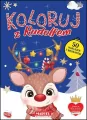 Koloruj z Rudolfem. Z naklejkami - tantis.pl