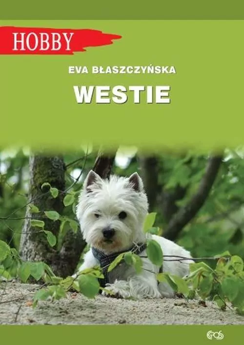Westie. West highland white terrier - tantis.pl