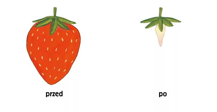 Pomelo i przeciwieństwa - tantis.pl