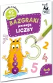 Bazgraki poznają liczby 4-6 lat - tantis.pl