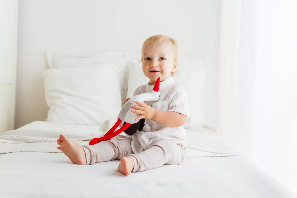 Bocian sensoryczny - tantis.pl