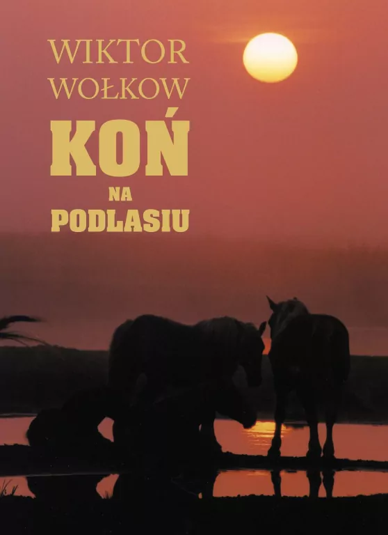 Koń na Podlasiu - tantis.pl