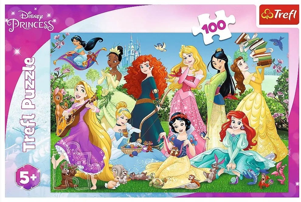 Puzzle 100. Czarujące Księżniczki. 16417 - tantis.pl