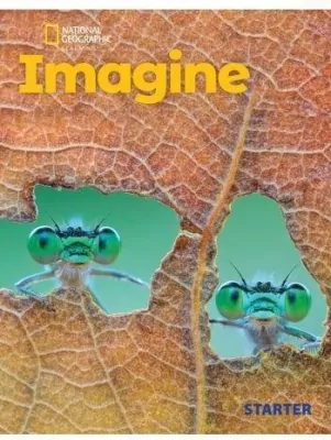 Imagine Starter Flashcards