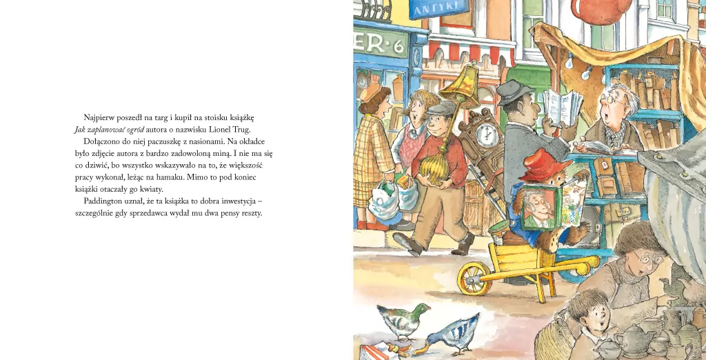 Paddington w ogrodzie - tantis.pl