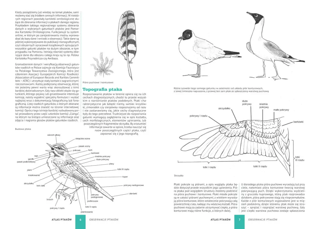 Atlas ptaków. 250 polskich gatunków - tantis.pl