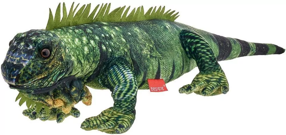 Iguana 72cm - tantis.pl