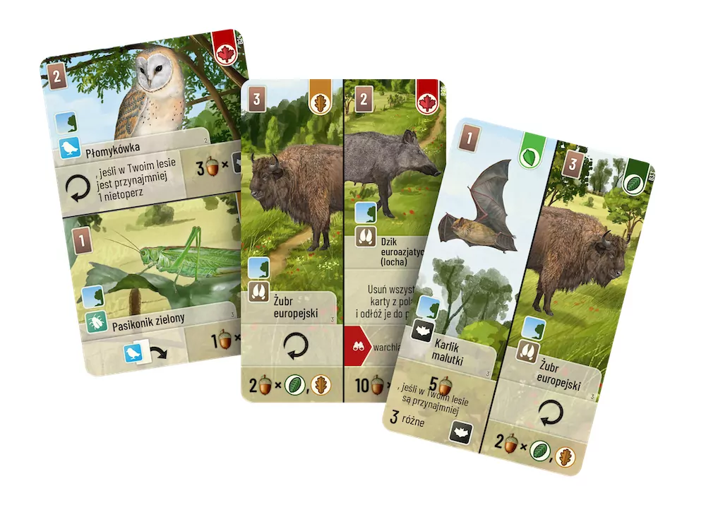 Leśne rozdanie: Na skraju lasu - tantis.pl