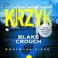Krzyk Audiobook - tantis.pl