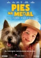 Pies na medal DVD - tantis.pl