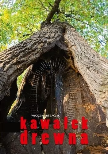 Kawałek drewna - tantis.pl