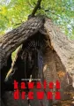 Kawałek drewna - tantis.pl