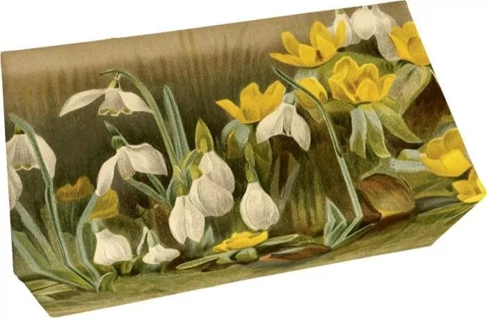 Mydło 200g zapach cytrynowy - tantis.pl