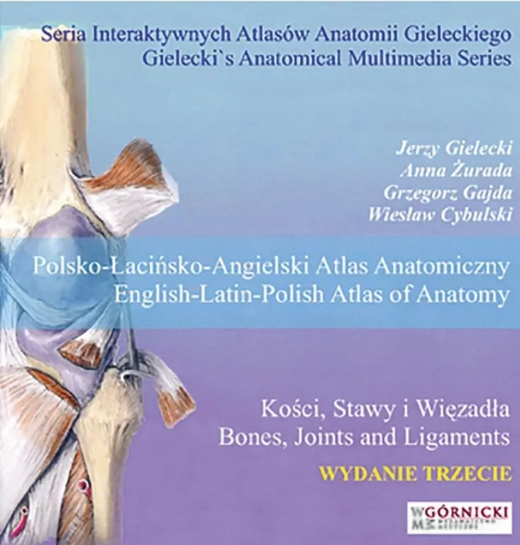 Kości, stawy i więzadła - tantis.pl