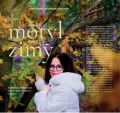 Motyl w środku zimy - tantis.pl