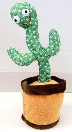 Tańczący kaktus - tantis.pl