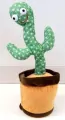 Tańczący kaktus - tantis.pl