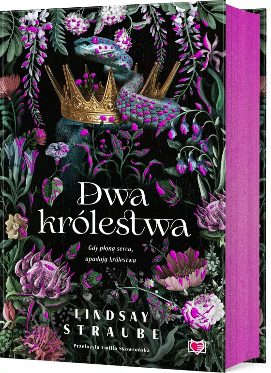 Dwa królestwa. Split or Swallow. Tom 1 - tantis.pl