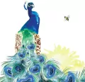 Karnet Swarovski kwadrat Paw - tantis.pl
