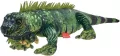 Iguana 61cm - tantis.pl