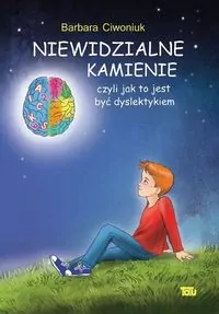 Niewidzialne kamienie - tantis.pl