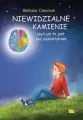 Niewidzialne kamienie - tantis.pl