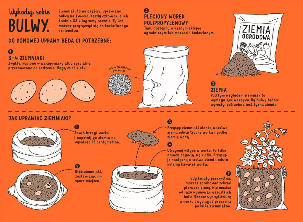 Podziemnik. Szkicownik odkrywcy podziemnego świata - tantis.pl