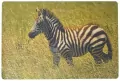 Podkładka na biurko piankowa zebra 60x40cm - tantis.pl