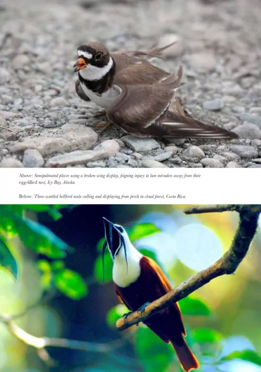 Na ścieżkach życia - tantis.pl