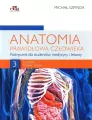 Anatomia prawidłowa człowieka. Tom 3 - tantis.pl