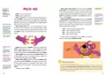 Bajki logopedyczne misia API. 2-4 lat. Ładnie składnie - tantis.pl