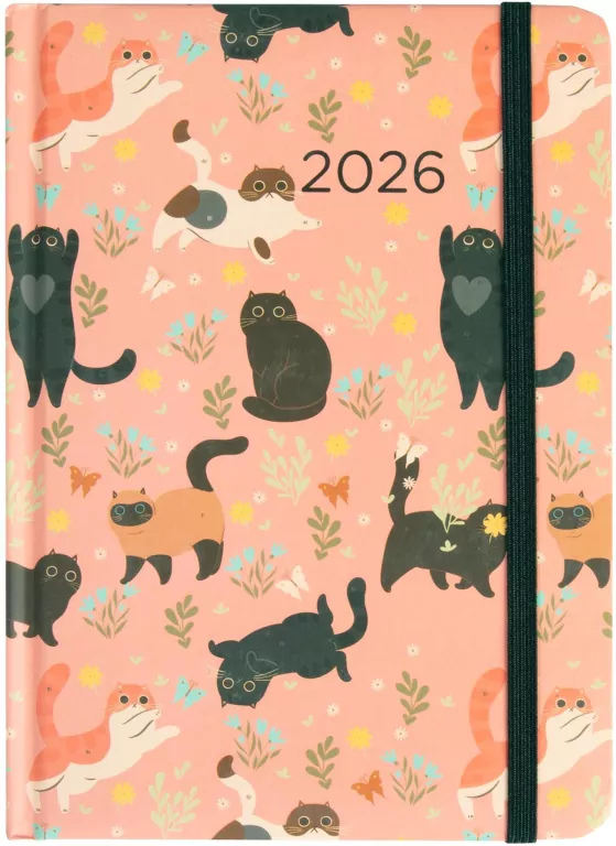 Kalendarz dzienny Koty 2026. B6 - tantis.pl