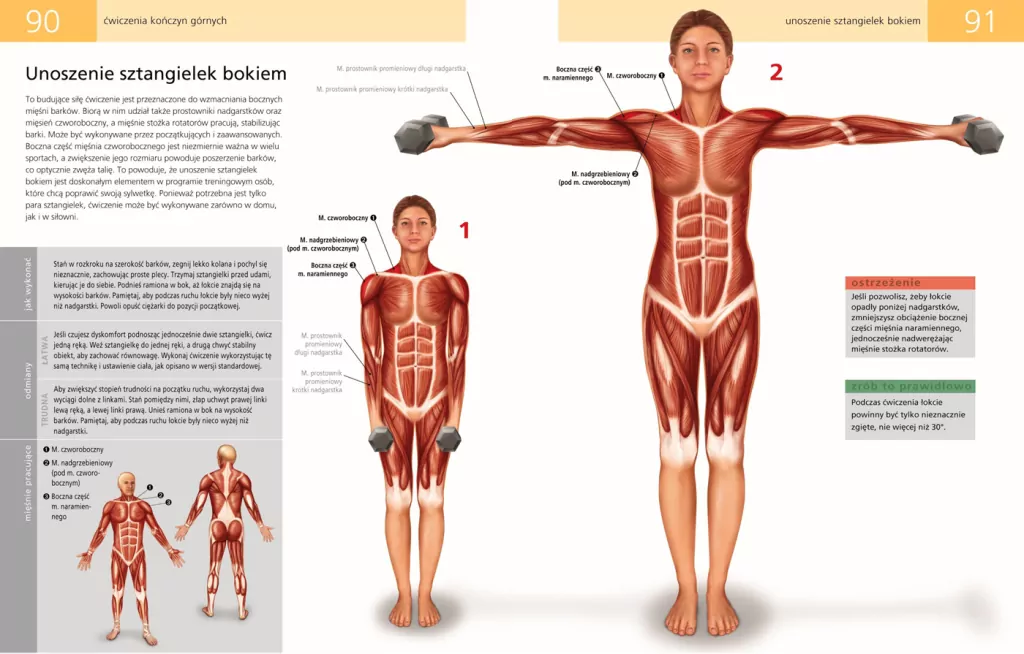 Anatomia ruchu - tantis.pl