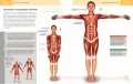 Anatomia ruchu - tantis.pl