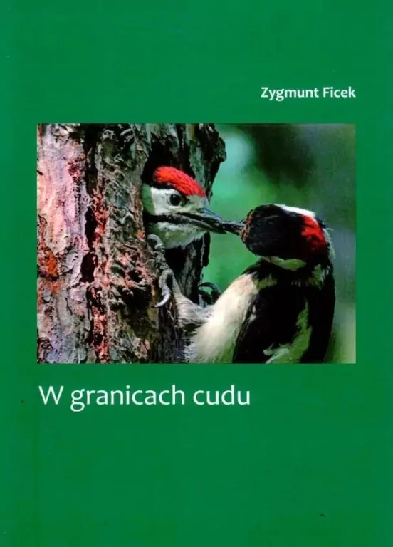 W granicach cudu - tantis.pl