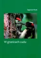 W granicach cudu - tantis.pl
