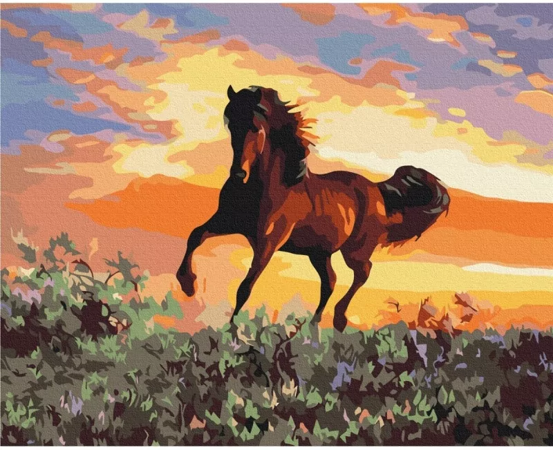 Malowanie po numerach BRUSHME 40x50 cm Konie - tantis.pl