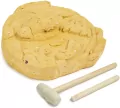 Jurassic World Dominion Fossil Dig Kit - tantis.pl