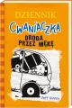 Droga przez mękę. Dziennik cwaniaczka. Tom 9 - tantis.pl