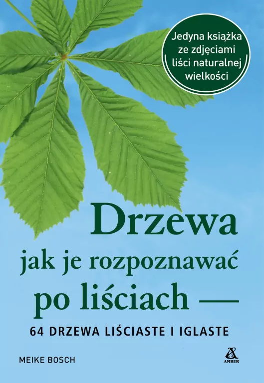 Drzewa - jak je rozpoznawać po liściach - tantis.pl