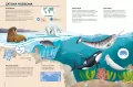 Tajemnice mórz i oceanów. Atlas bioróżnorodności - tantis.pl