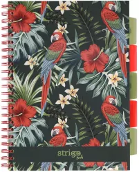 Kołozeszyt Pads B5/100K kratka Tropiki Papuga