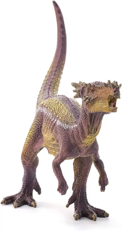Dracorex 15014 - tantis.pl