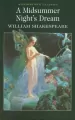 A Midsummer Night's Dream - tantis.pl