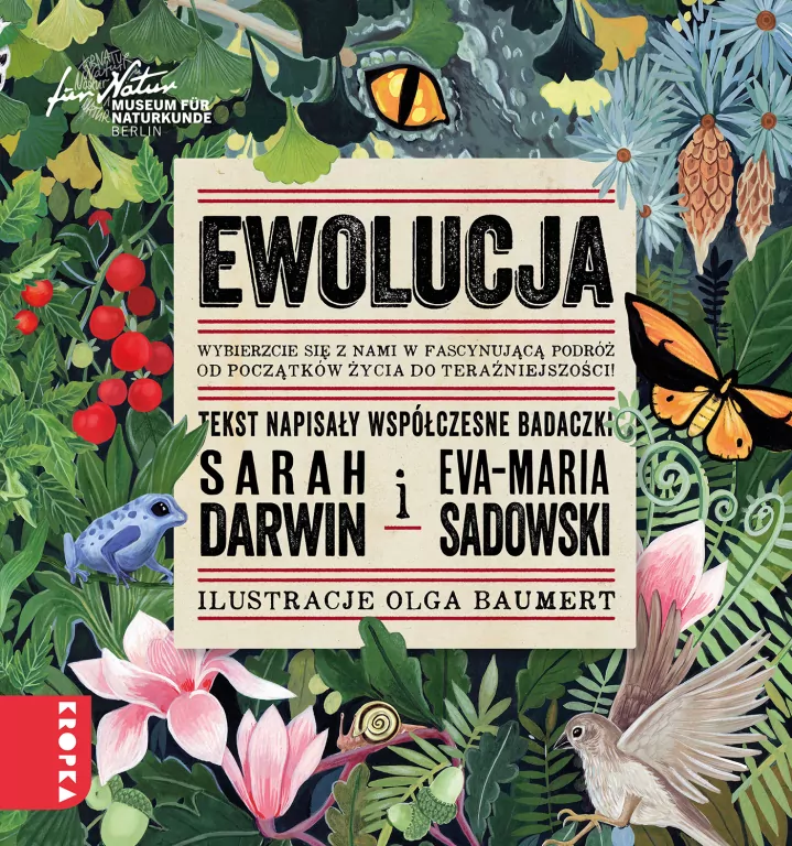 Ewolucja - tantis.pl