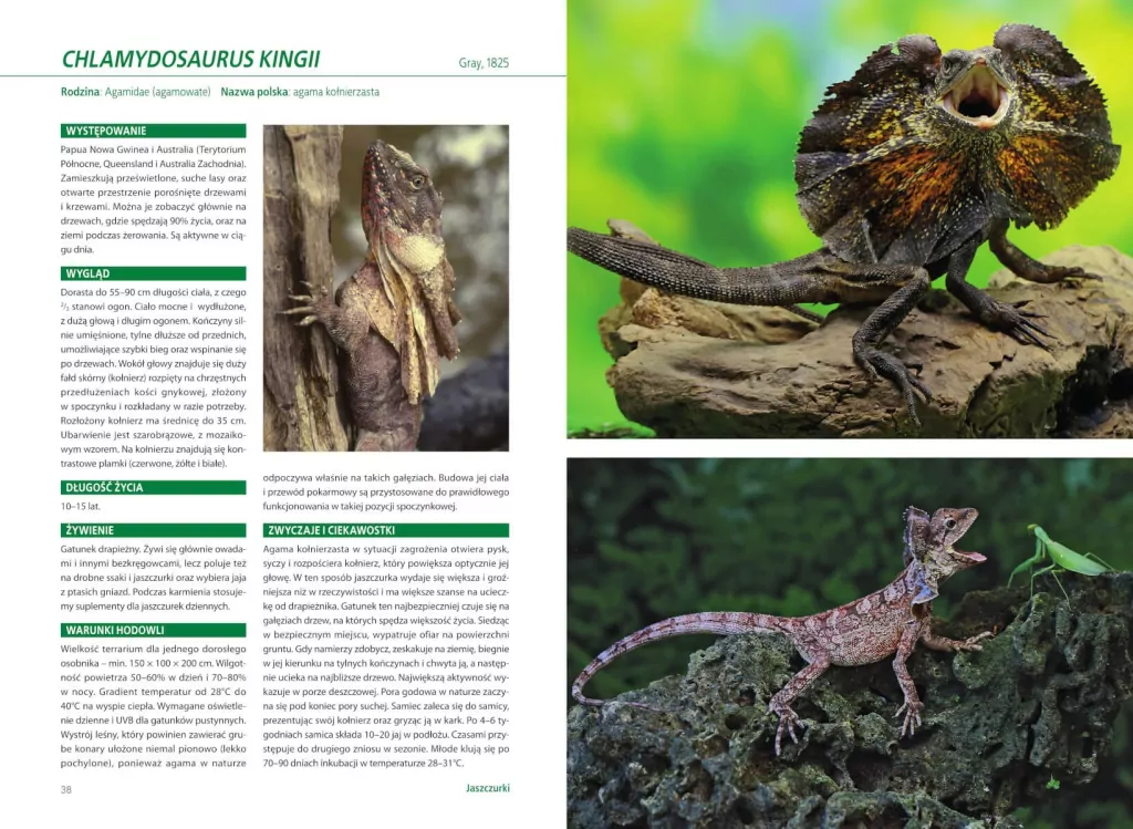 Atlas gadów hodowlanych - tantis.pl