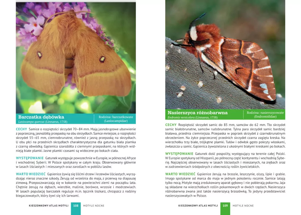 Kieszonkowy atlas motyli - tantis.pl