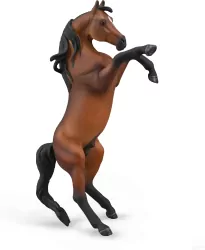 Arabian Stallion Rearing Bay